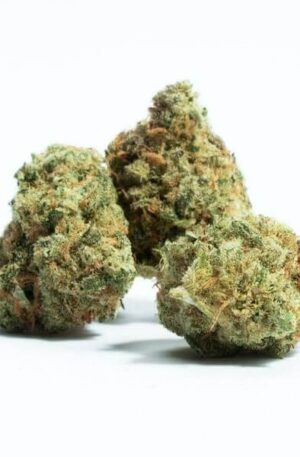 24K GOLD Medical Strain