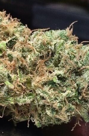 Alien Abduction Medical Strain