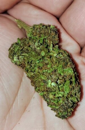 Apple Pie Marijuana Strain