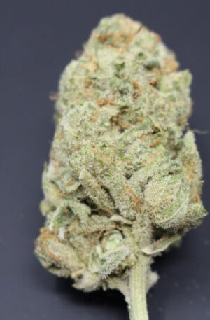 Atomic Bomb Weed Strain