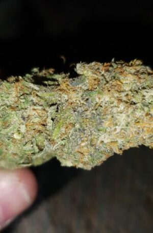 Billy Kimber OG Strain