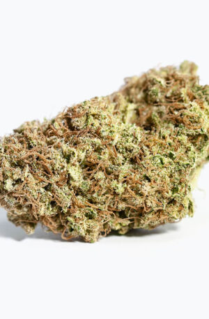 Blackberry Cobbler Weed Strain