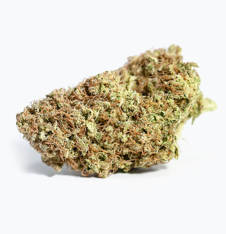 Blackberry Cobbler Weed Strain