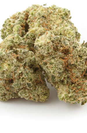Blackjack Marijuana Strain