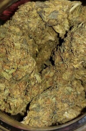 Blood Diamond OG Strain