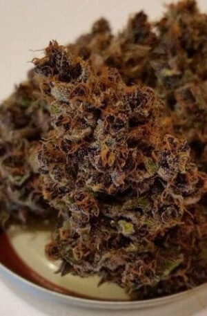 Blood Orange Weed Strain