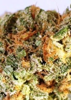 Blue Nina Weed Strain