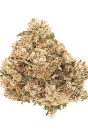 Calm 101 Marijuana Strain