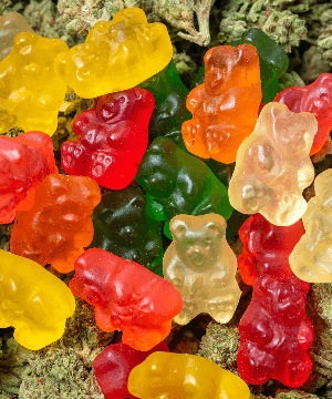 Cannabis Edibles