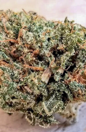 Charlie Sheen Weed Strain