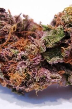 Cherry Gorilla Marijuana Strain