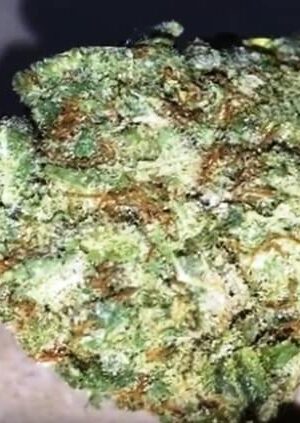 Cherry Wonka Weed Strain