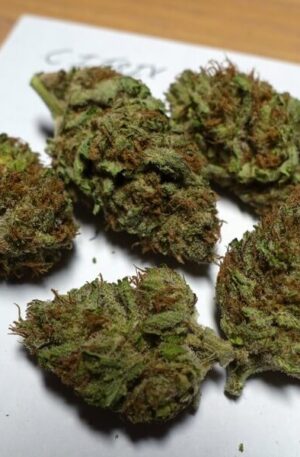 Citrix Marijuana Strain