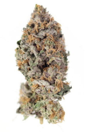 Citrus Farmer Weed Strain