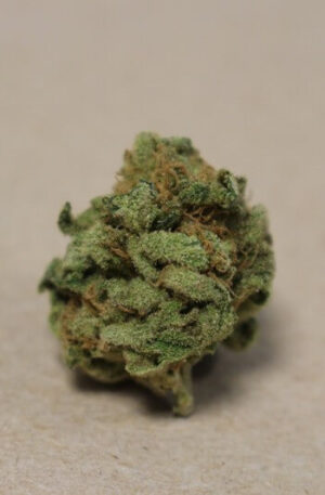 Colombian Gold Weed Strain