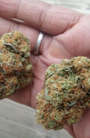 Cookies and Cream Marijuana