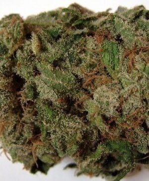 Crystal Coma Weed Strain