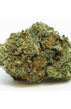 Death Star Weed Strain