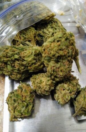 Dirty Mack Weed Strain