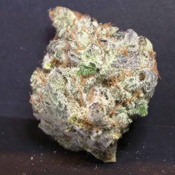 Donkey Butter Cannabis Strain