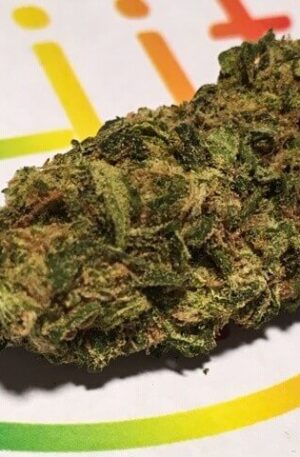 Double Tangie Banana Strain