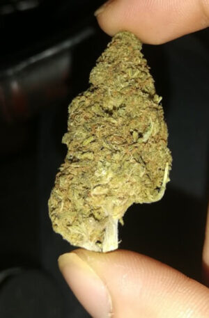 Duct Tape Weed Strain