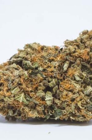 Full Moon Weed Strain