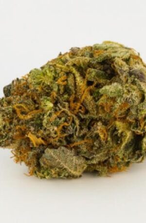 Gelato Dream Weed Strain