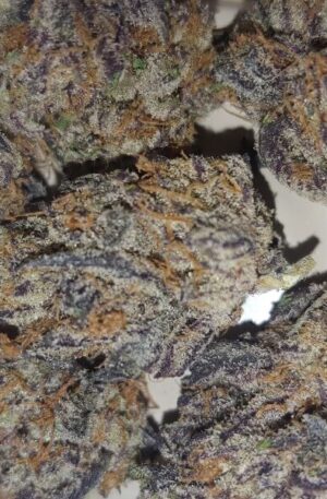 Gobbstopper Hybrid Strain