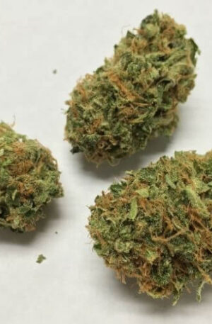 Godfather OG Cannabis Strain