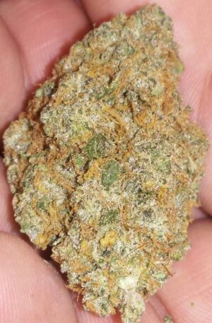 Golden Goat Weed Strain