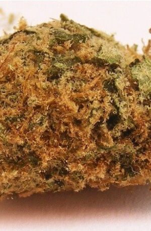 Golden Kush Weed Strain