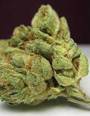 Green Beret Weed Strain