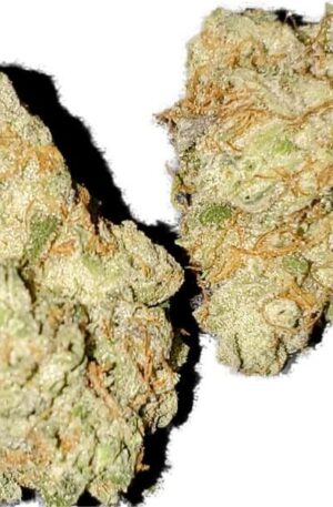 Han Solo Burger Strain