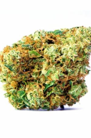 Harlequin x GDP Strain