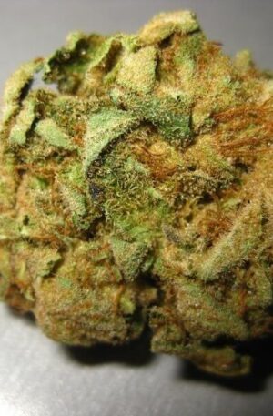 Hempstar Medical Marijuana