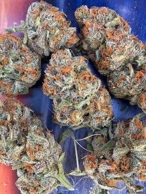 Ice Cream Cake Strain