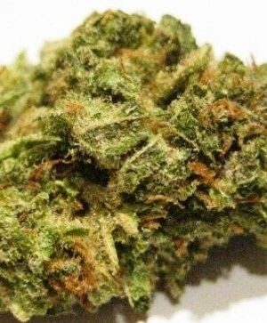 Illuminati OG Weed Strain