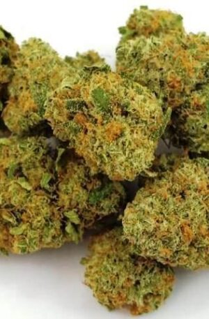 Infinite Euphoria Weed Strain