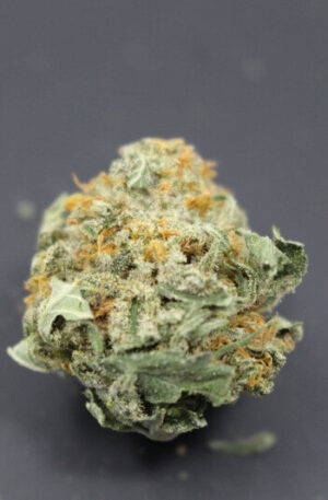 Kali Mist Weed Strain