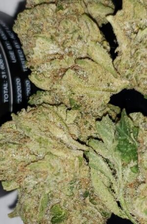 Kosher Kush Indica Marijuana