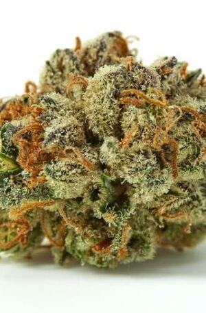 Lemon Larry Weed Strain