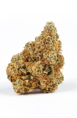 Lemon Tree Hybrid Strain