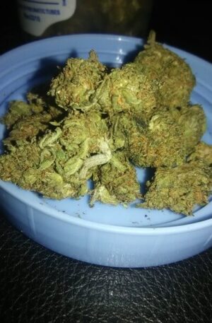 Lemonberry Weed Strain