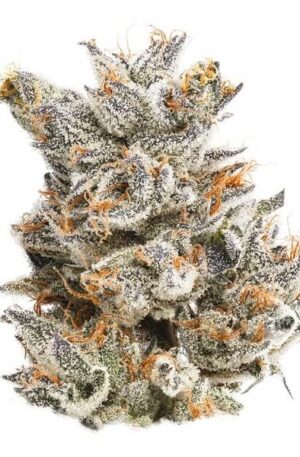 Limelight OG Weed Strain