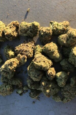 London Poundcake Strain