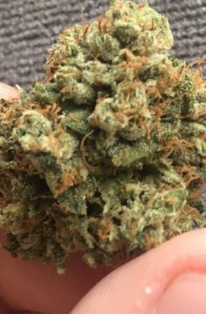 MK Ultra Marijuana Strain