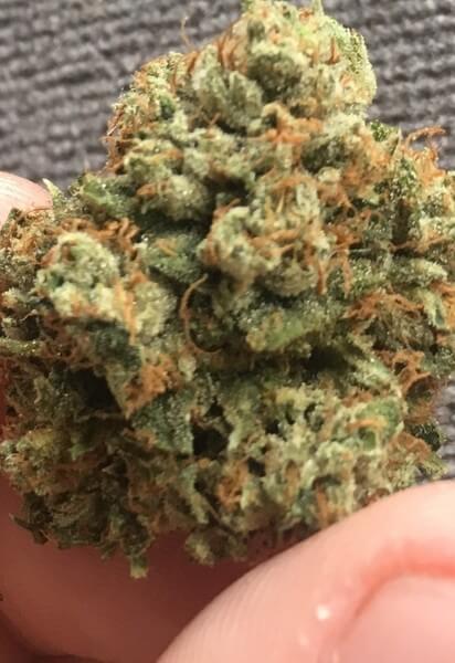 MK Ultra Marijuana Strain