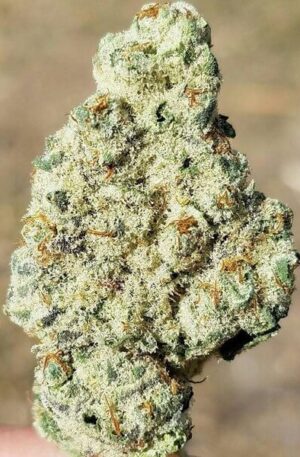 Mandarin Cookies Weed Strain
