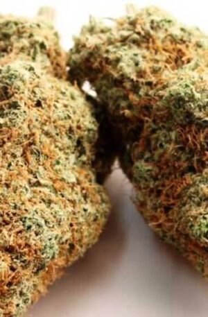 Megalodon Weed Strain